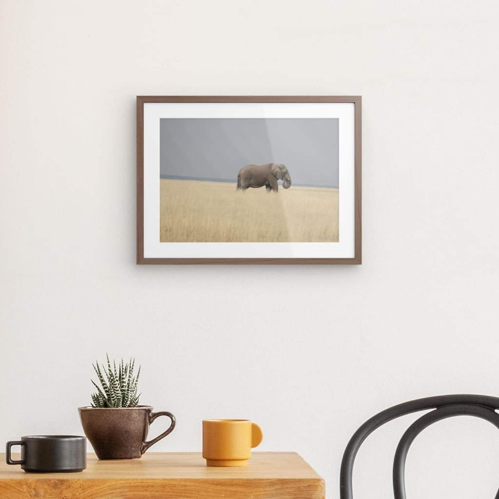 Elefant im Gras Namibias als Passepartout