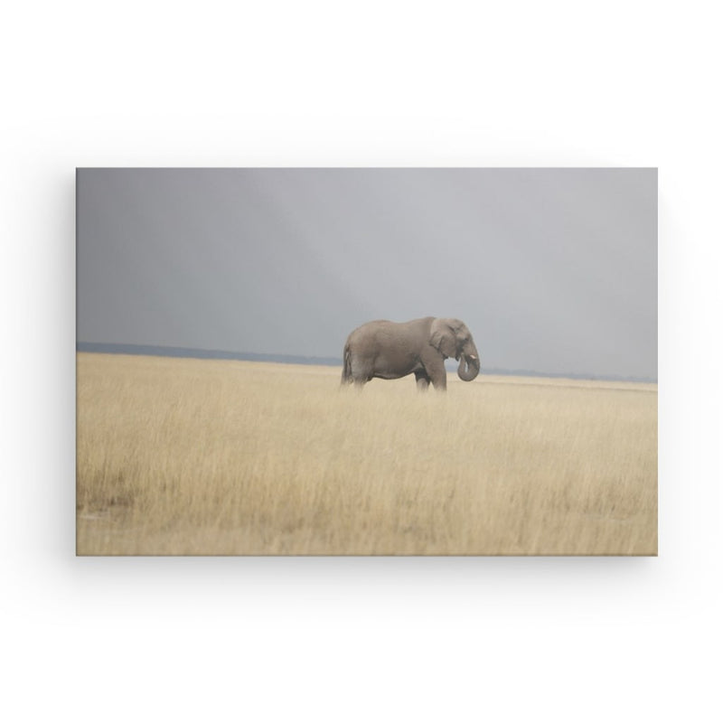 Afrika Elefant auf einer Leinwand