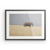 Elefant im Gras Namibias als Passepartout
